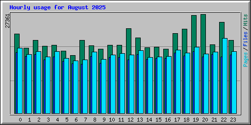 Hourly usage for August 2025