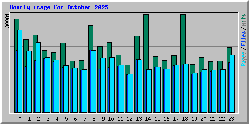 Hourly usage for October 2025
