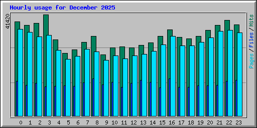 Hourly usage for December 2025