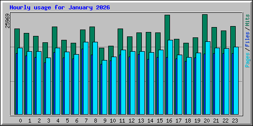 Hourly usage for January 2026