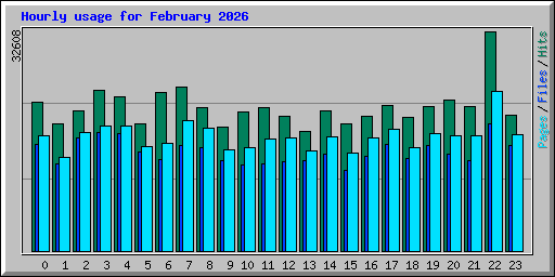 Hourly usage for February 2026