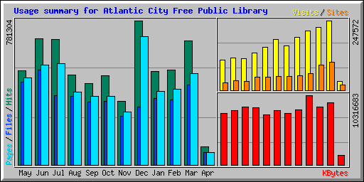 Usage summary for Atlantic City Free Public Library